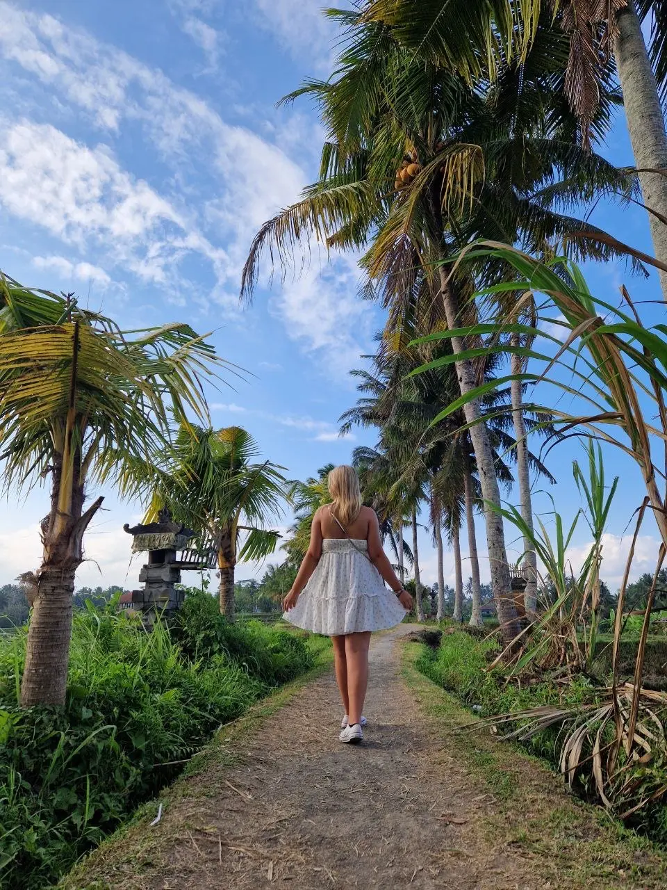 balade ubud detente