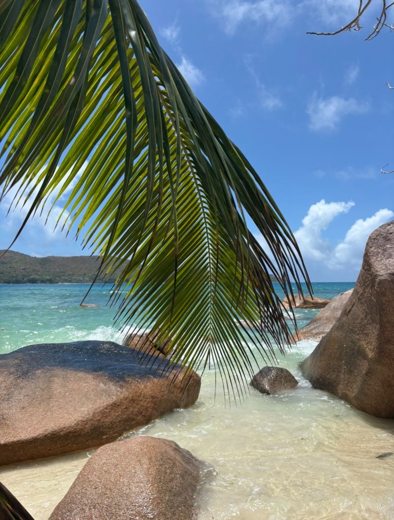 destination Seychelles