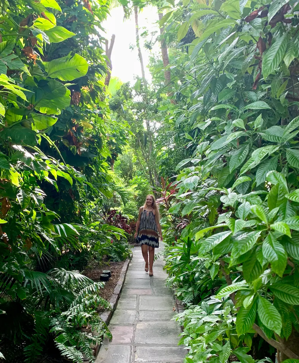 floride oasis européenne demeure chemin verdure