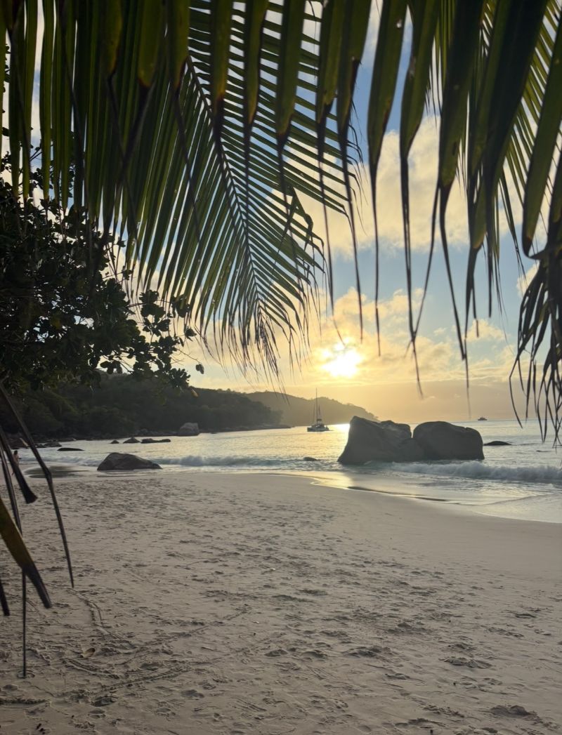 Plage Seychelles anse lazio