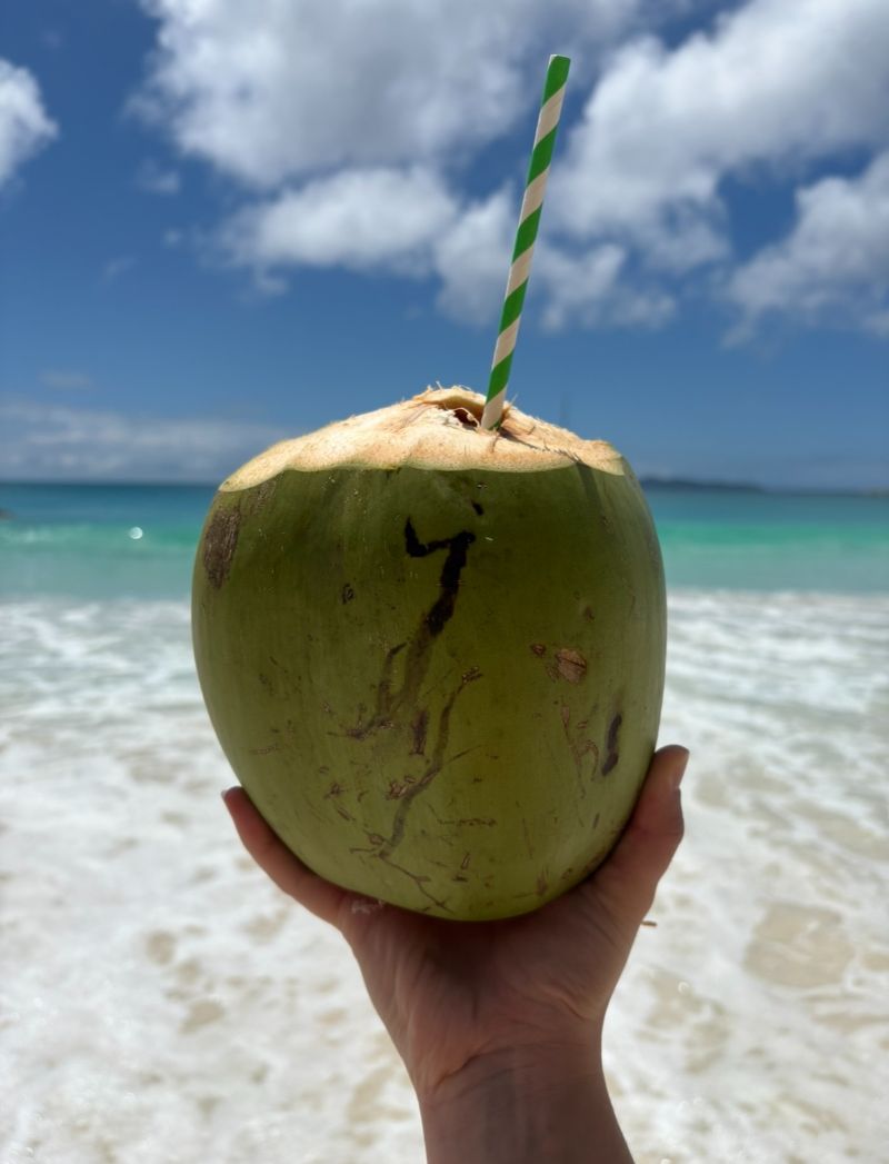 noix coco plage seychelles
